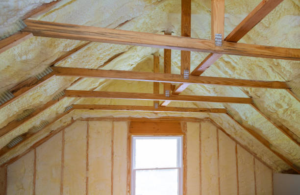 Best Home Insulation Services  in Catasauqua, PA